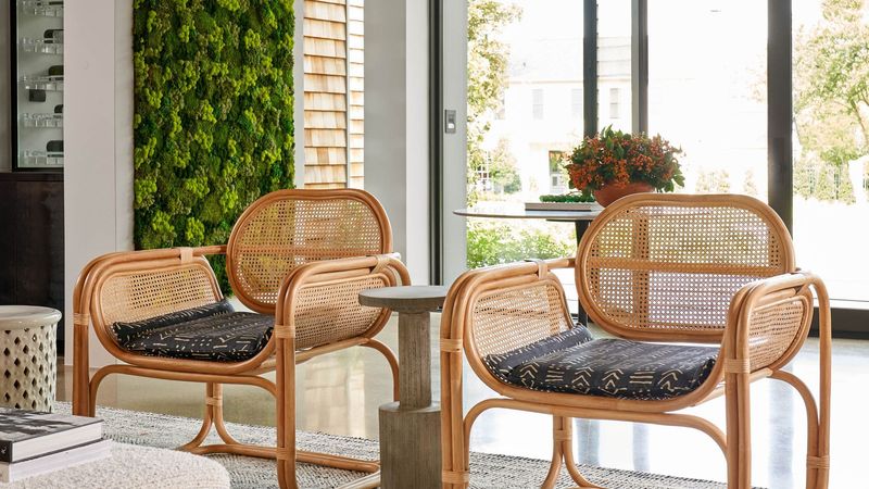 Biophilic Design Elements