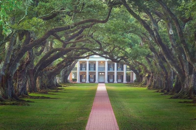 Oak Alley Plantation
