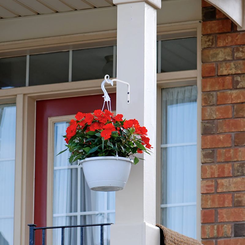 Install Hooks for Hanging Plants