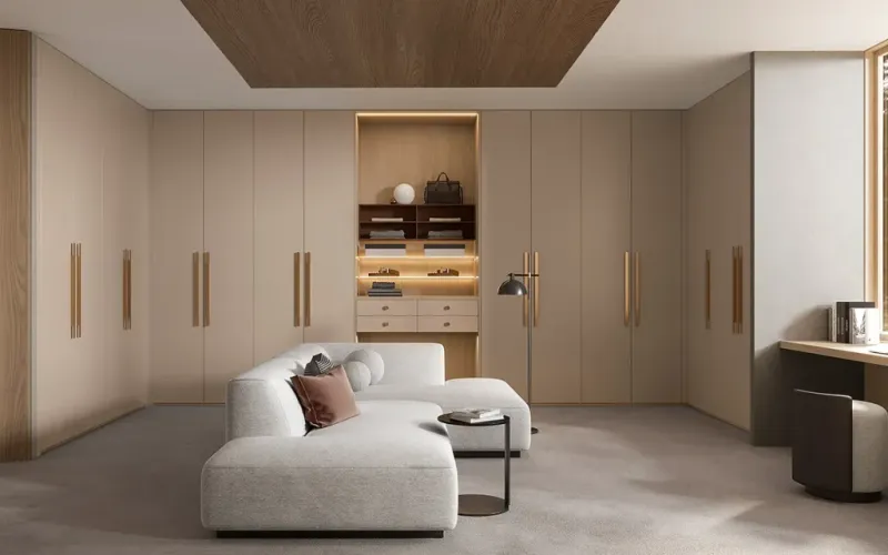 Built-In Storage Solutions