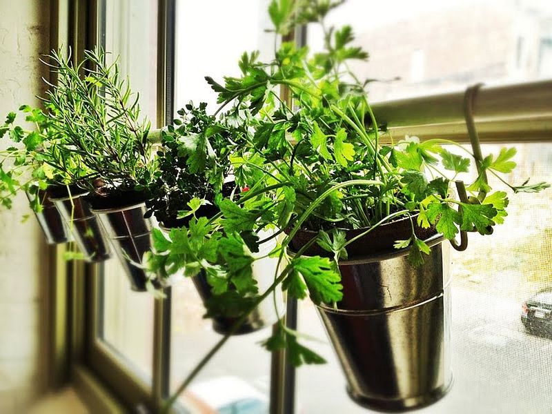Hanging Herb Garden