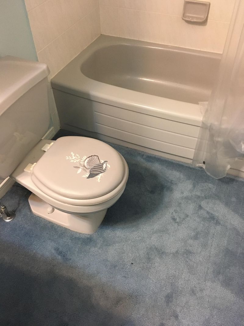 Carpet In Bathrooms