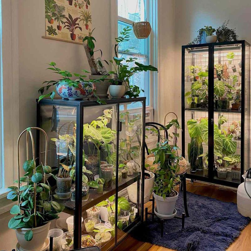 Vertical Indoor Garden