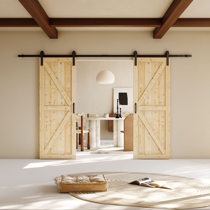 Barn Doors on Rails