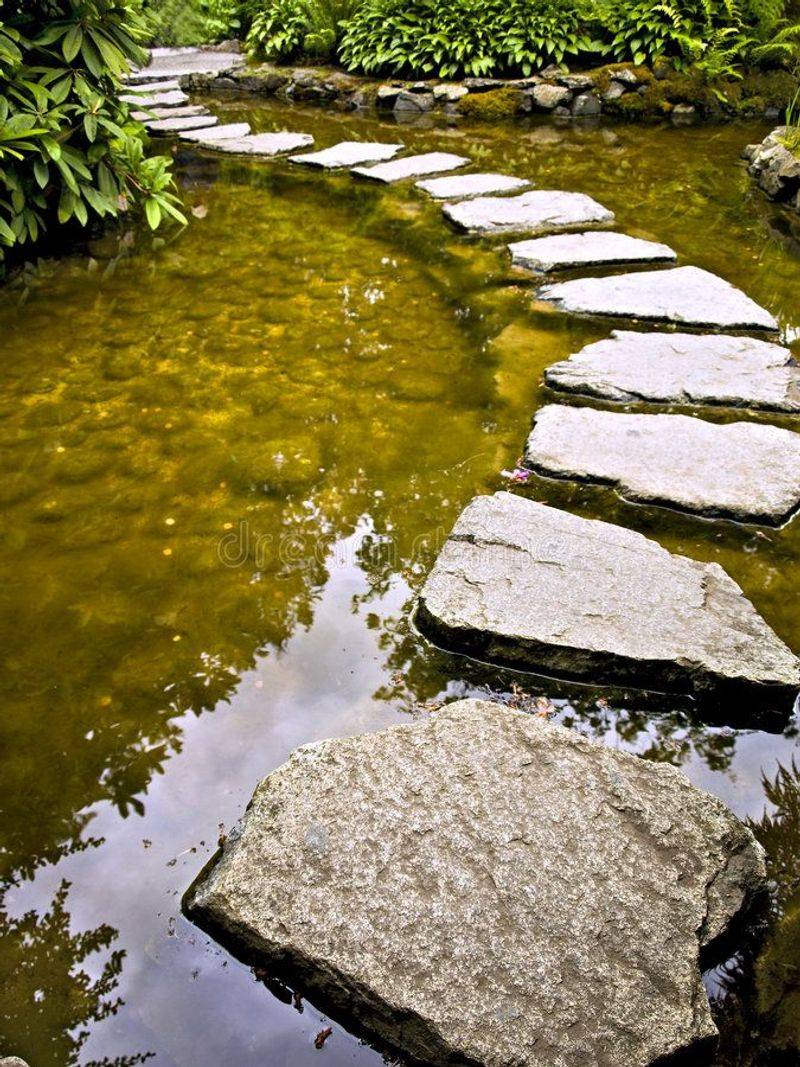 Stepping Stone Stream