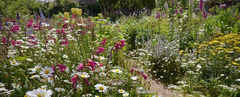 Cottage Garden Abundance Replaces Minimalist Landscapes