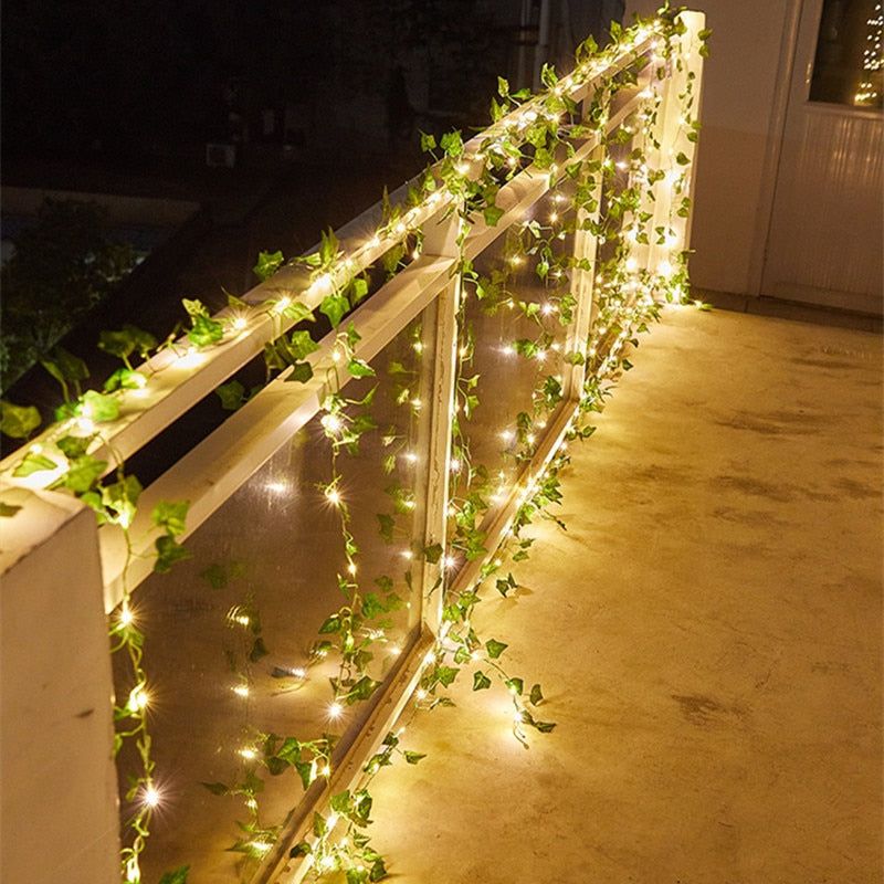 Fairy Light Vineyard