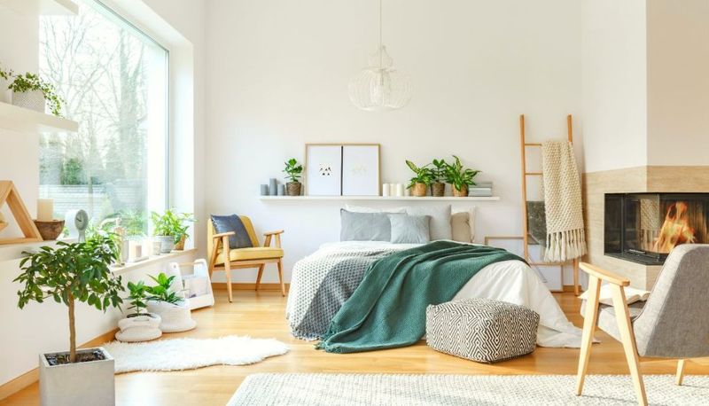 Plants Bring Rooms To Life