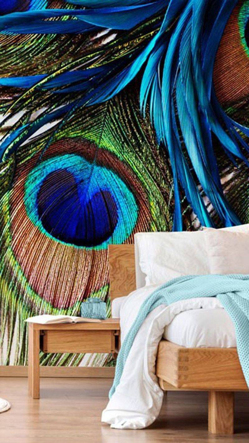 Peacock Paradise