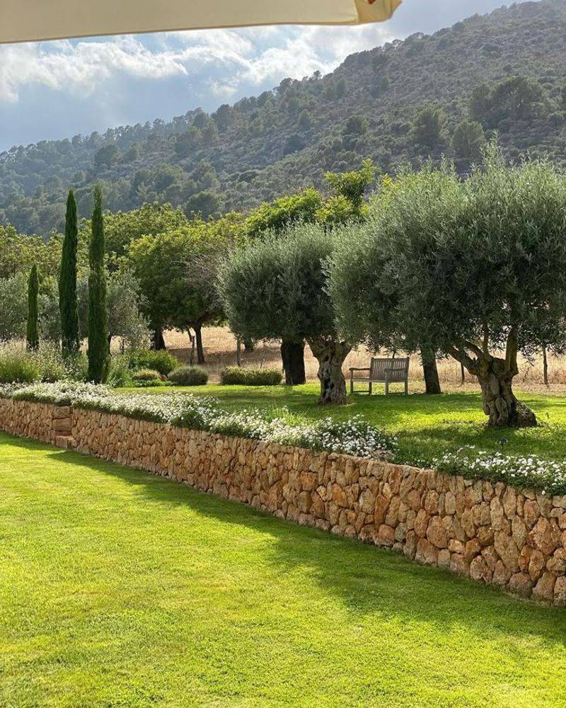 Rustic Stone Walls