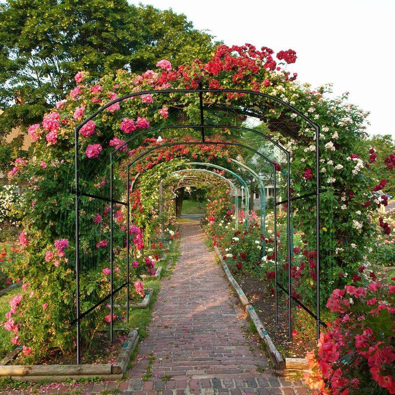 Trellis Tunnel Walkway