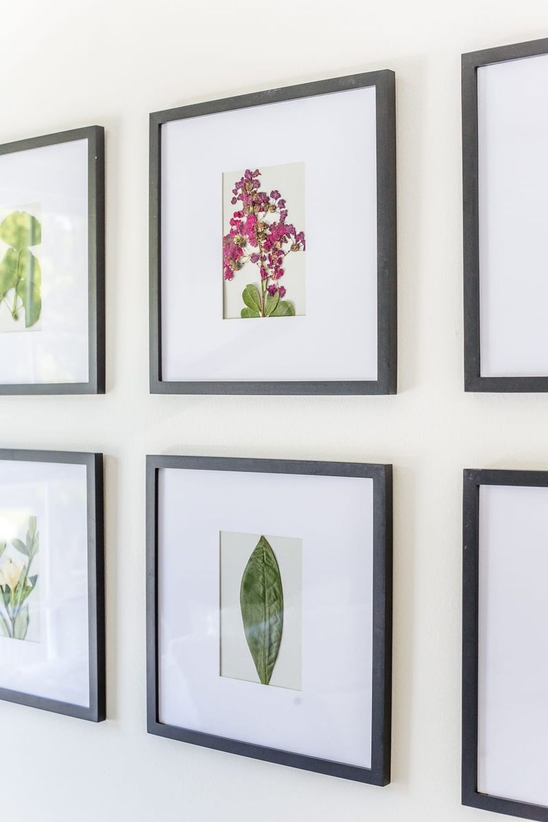 Arrange Pressed Flowers In Frames
