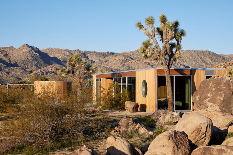 Desert Oasis: Sand-Swept Solitude