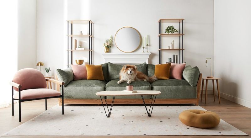 Kid and Pet-Friendly Options