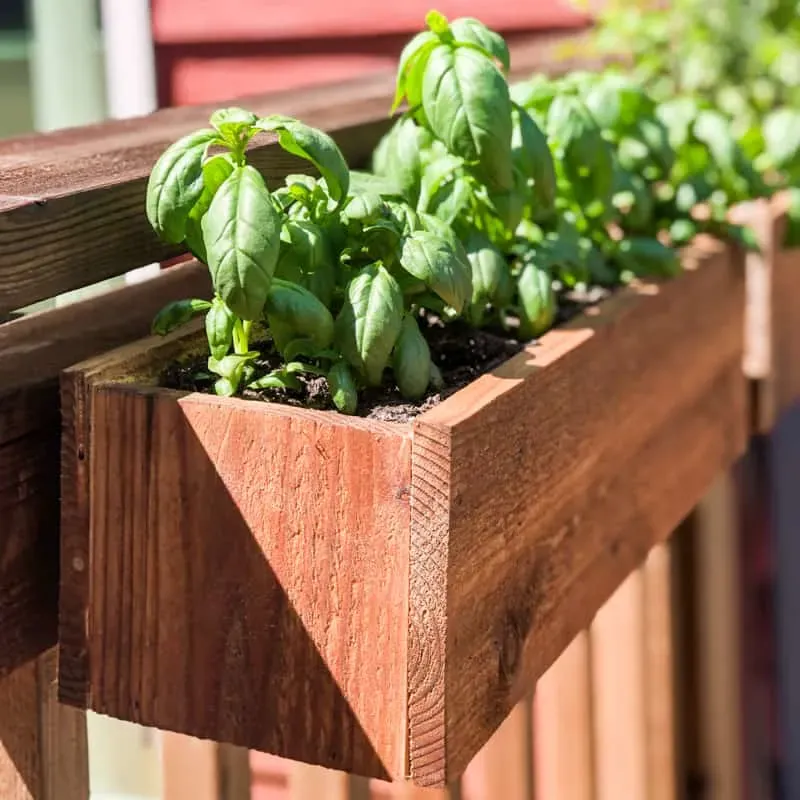 Integrated Herb Garden