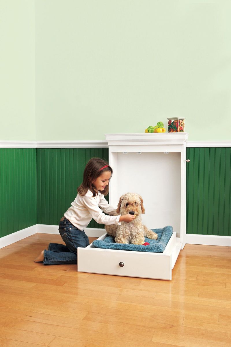 Pet-Friendly Hidden Bed
