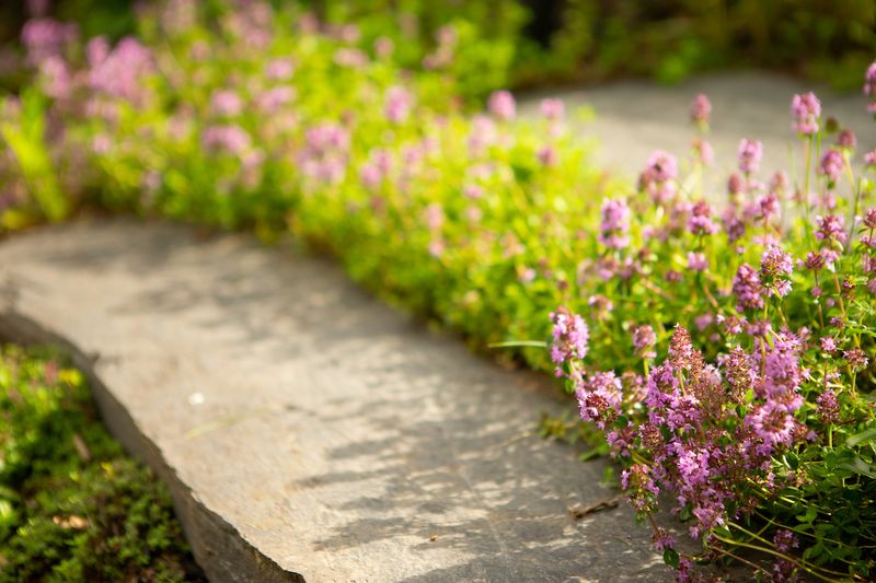 Herbal Fragrance Walk