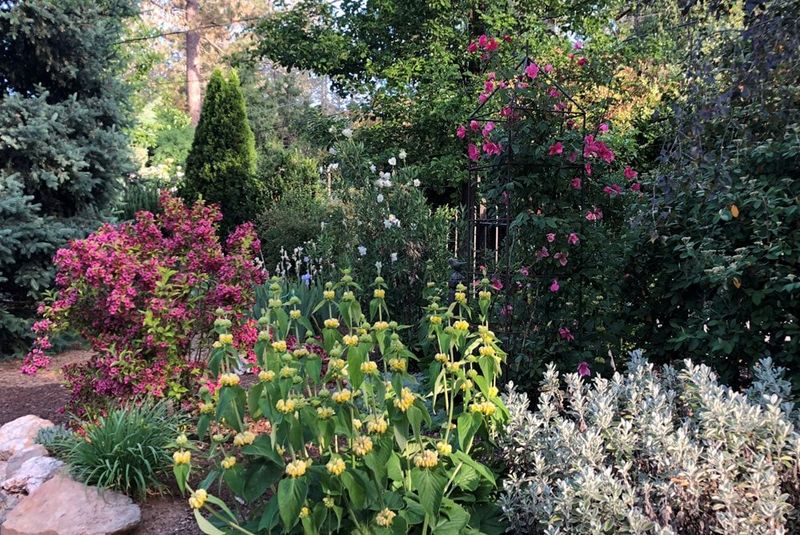 Absence Of Seasonal Color