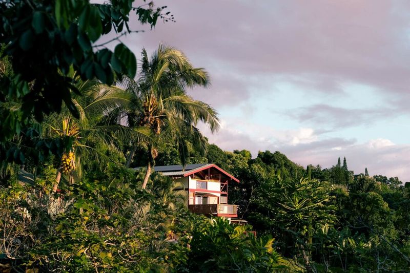 The Rainforest Respite in Hawaii