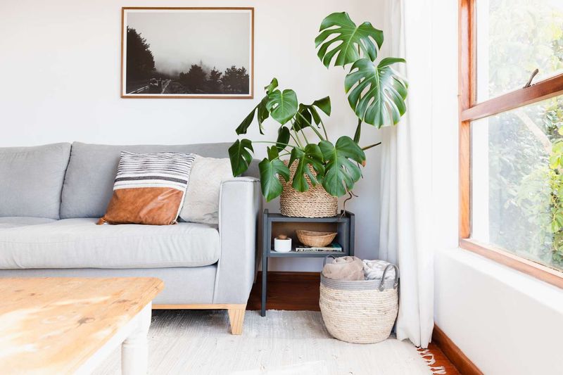 Adaptability to Seasonal Changes