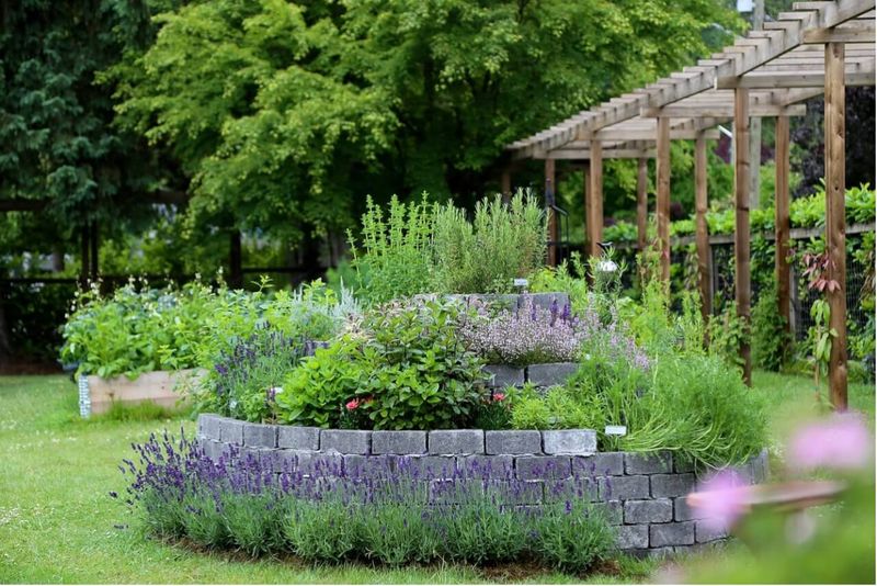 Herbal Kitchen Garden