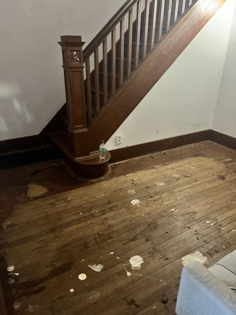 The Miraculous Hidden Hardwood