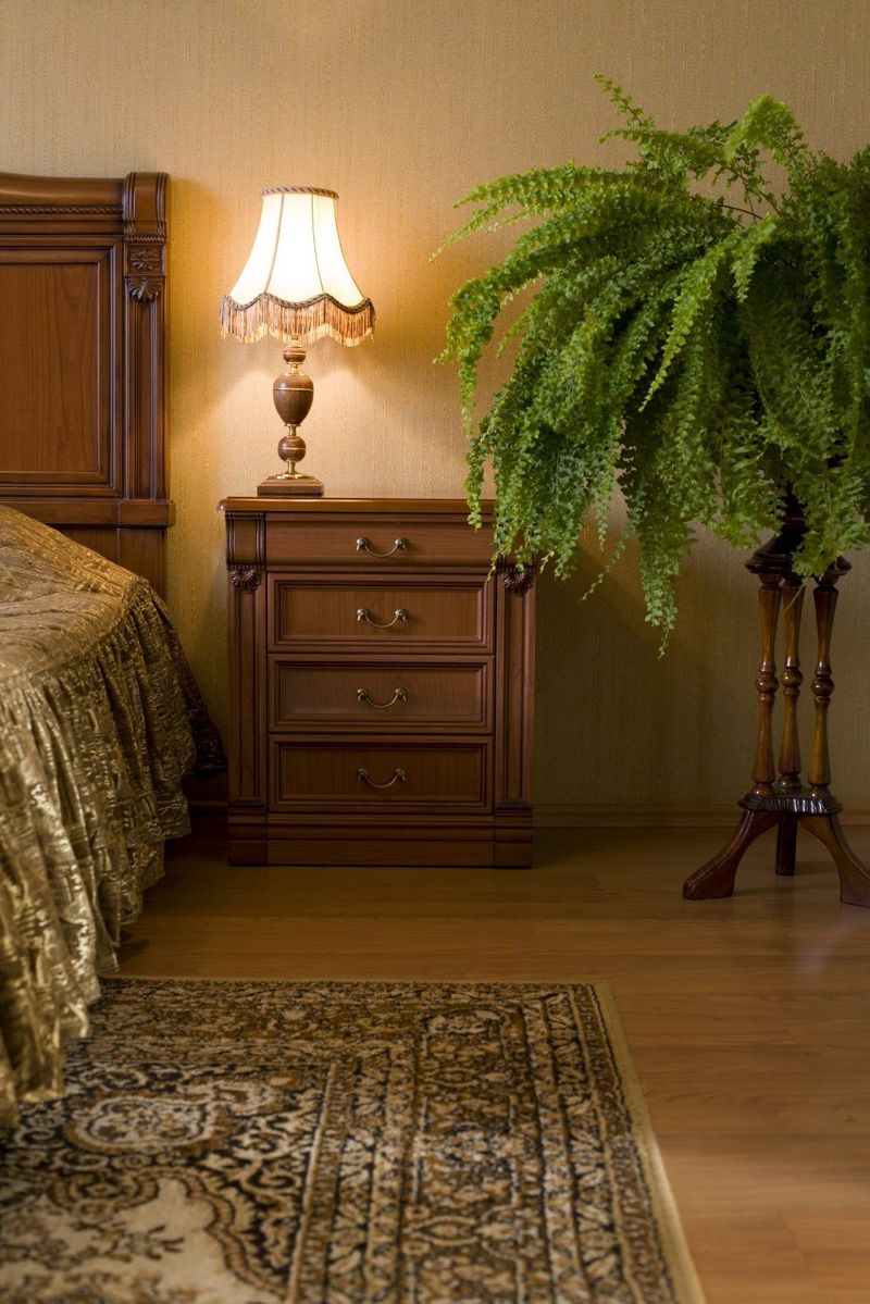 Parlor Palm Plants