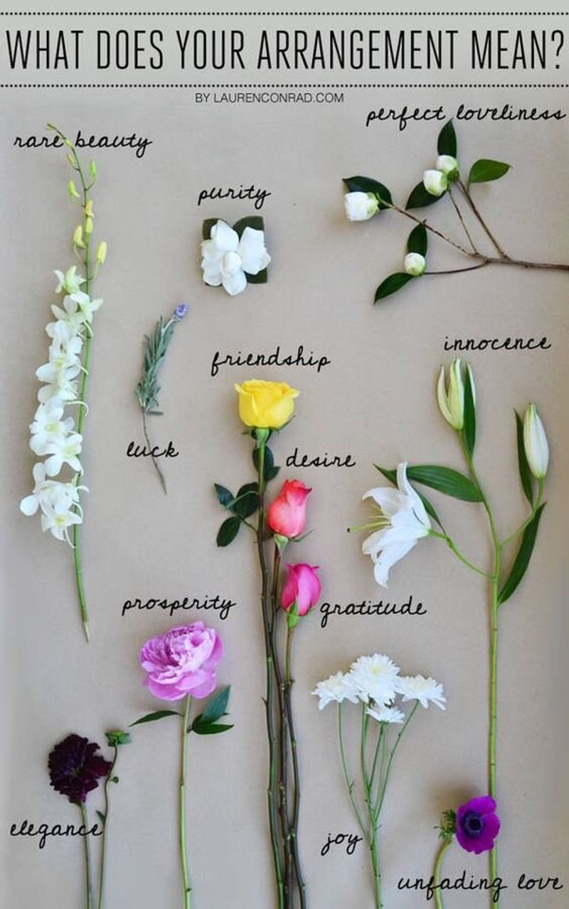 Floriography Brings Meaning To Planting Choices