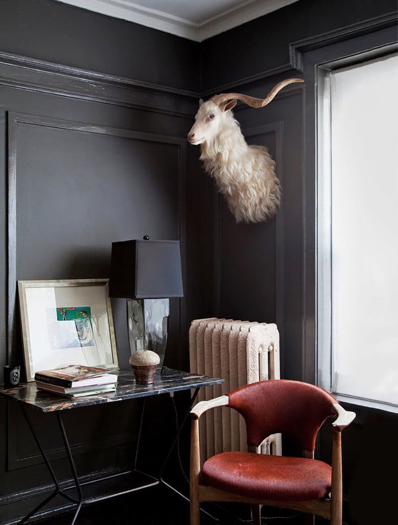 Taxidermy Wall Mounts