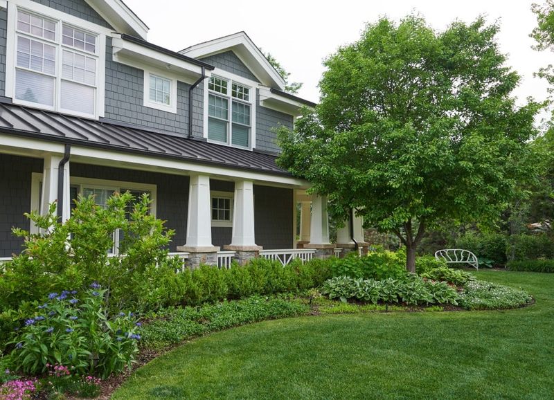 Overgrown Landscaping