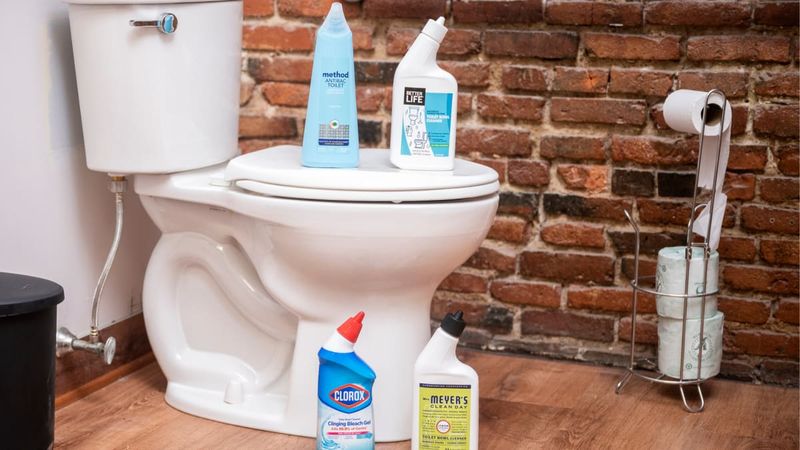 Fancy Toilet Bowl Cleaners