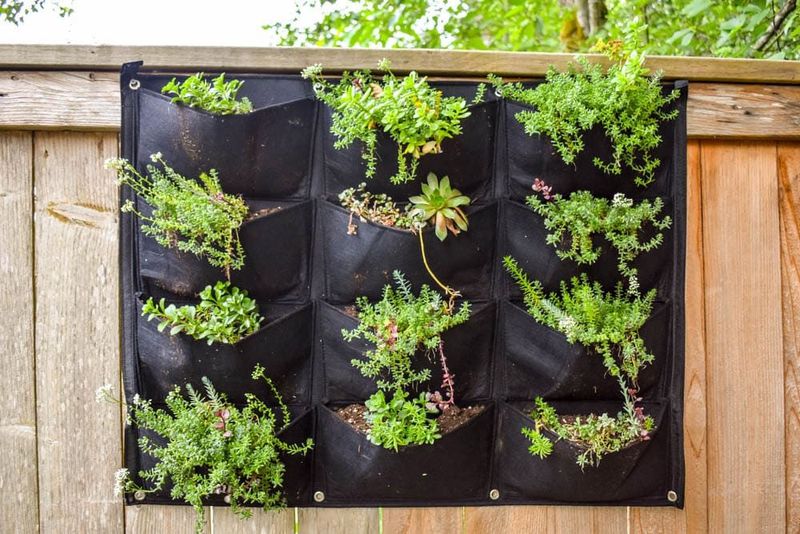 Create a Vertical Garden Wall