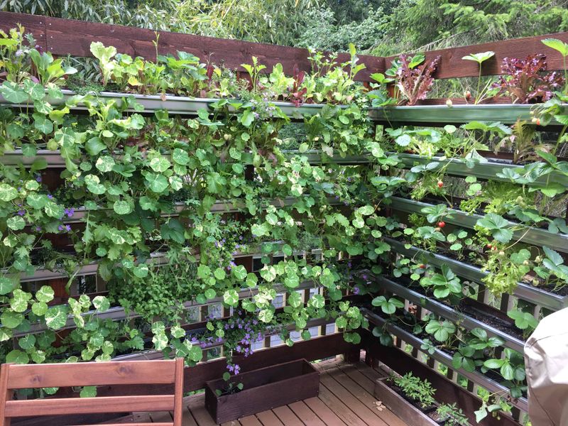 Gutter Garden System