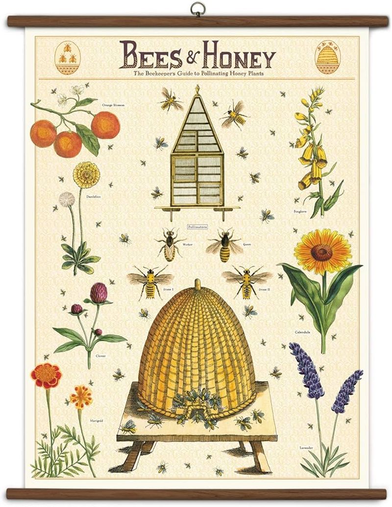 Vintage Classroom Charts and Diagrams