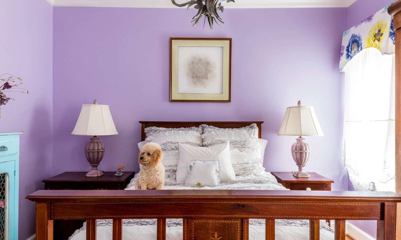Lavender