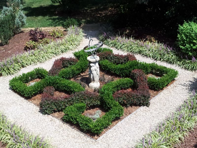 Create a Herb Knot Garden