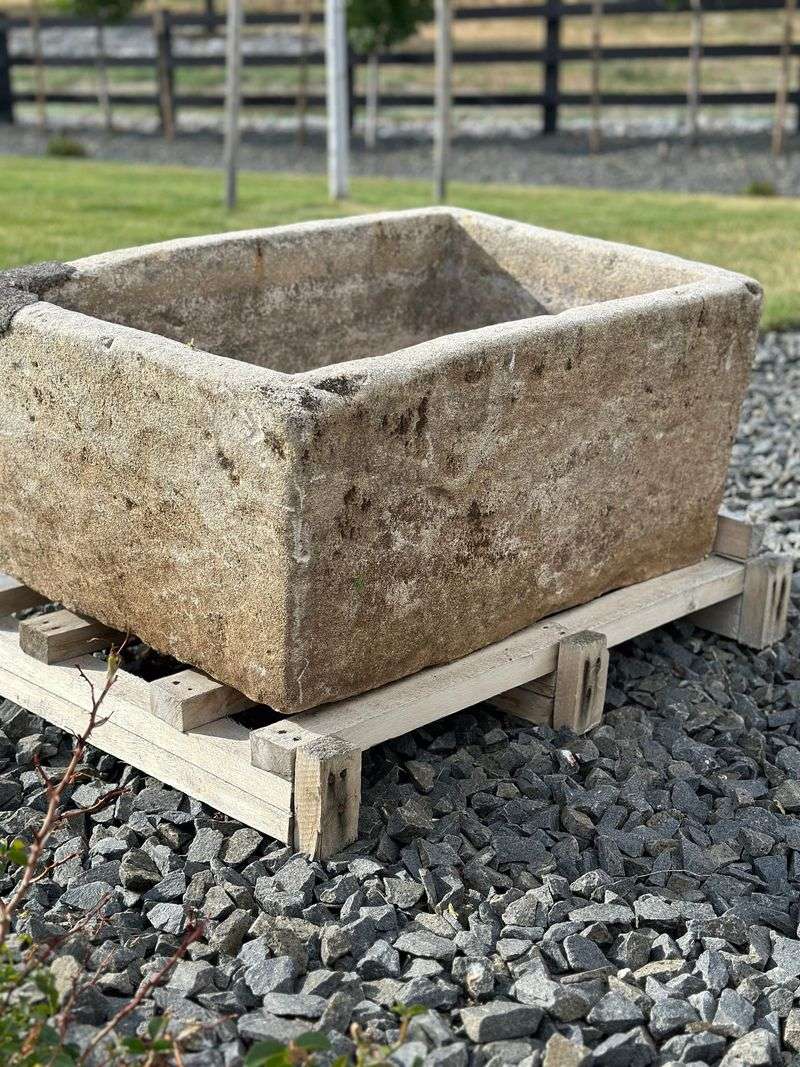 Stone Sink Gardens