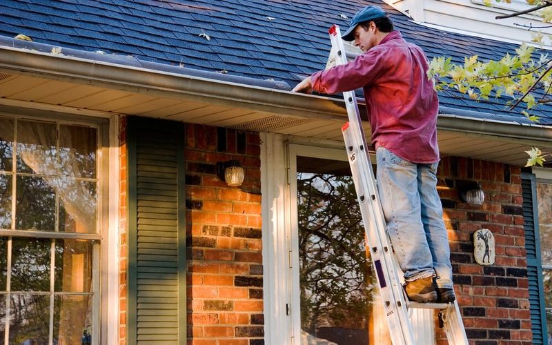 Maintenance Responsibilities
