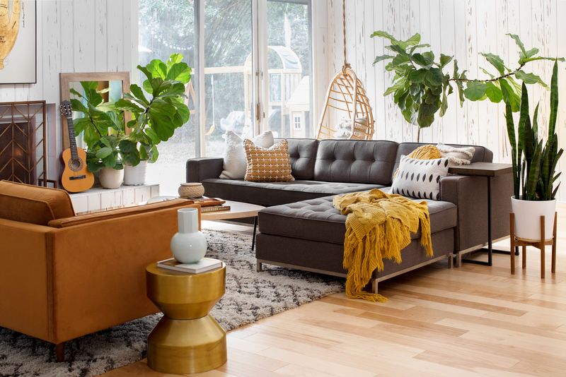 Furniture Choices