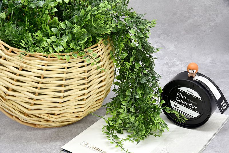 Fake Plants Collecting Dust