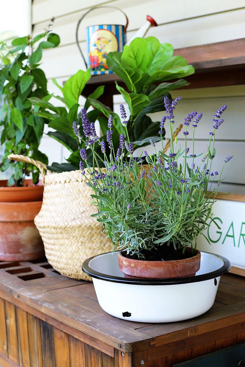 Enamelware Containers