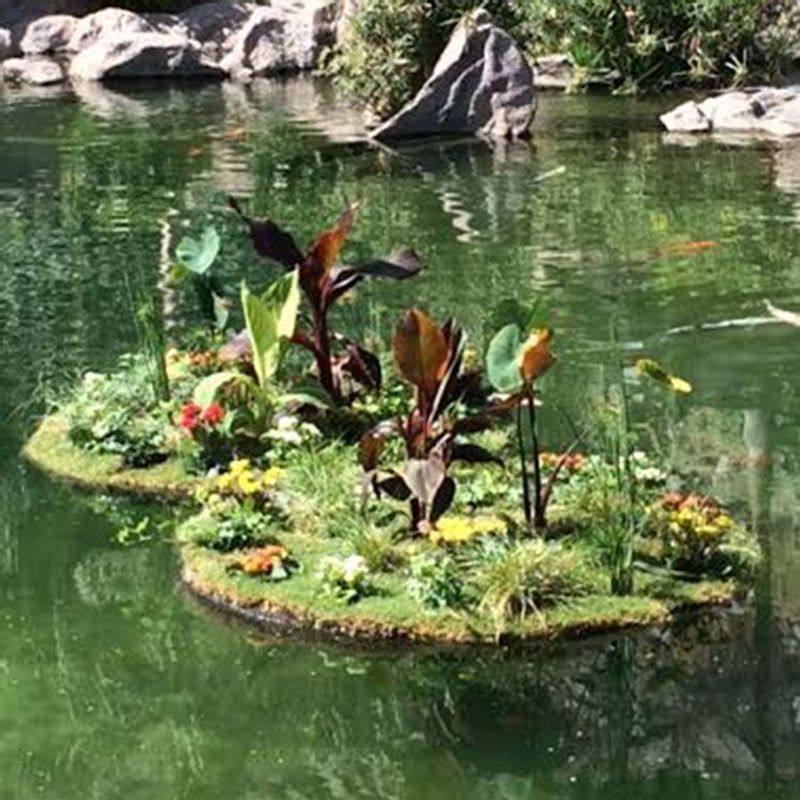 Floating Island Garden