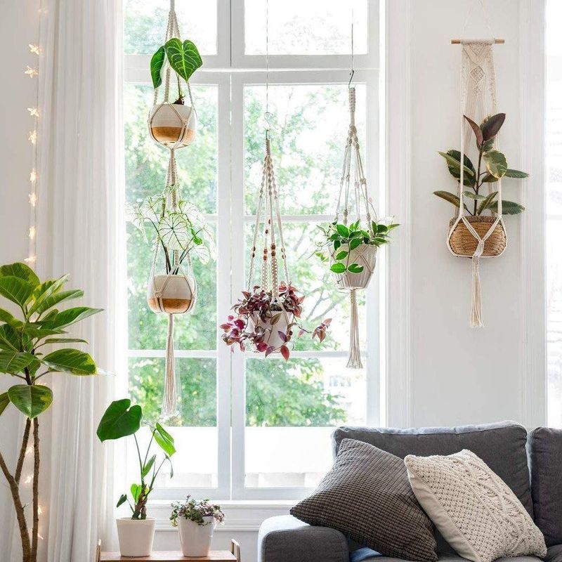 Hanging Plant Collections