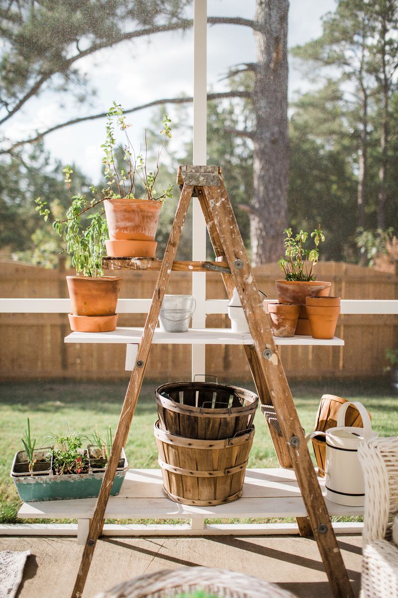 Old Wooden Ladders