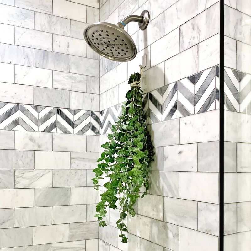 Hang Eucalyptus Bundles in Showers
