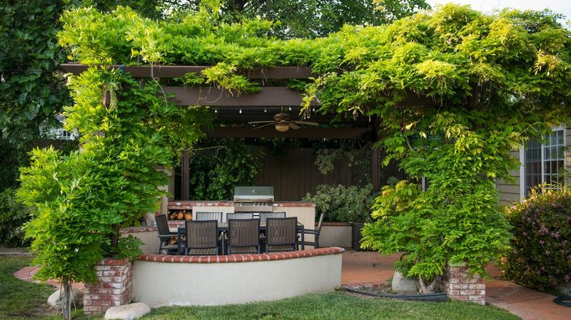Pergolas with Climbing Plants
