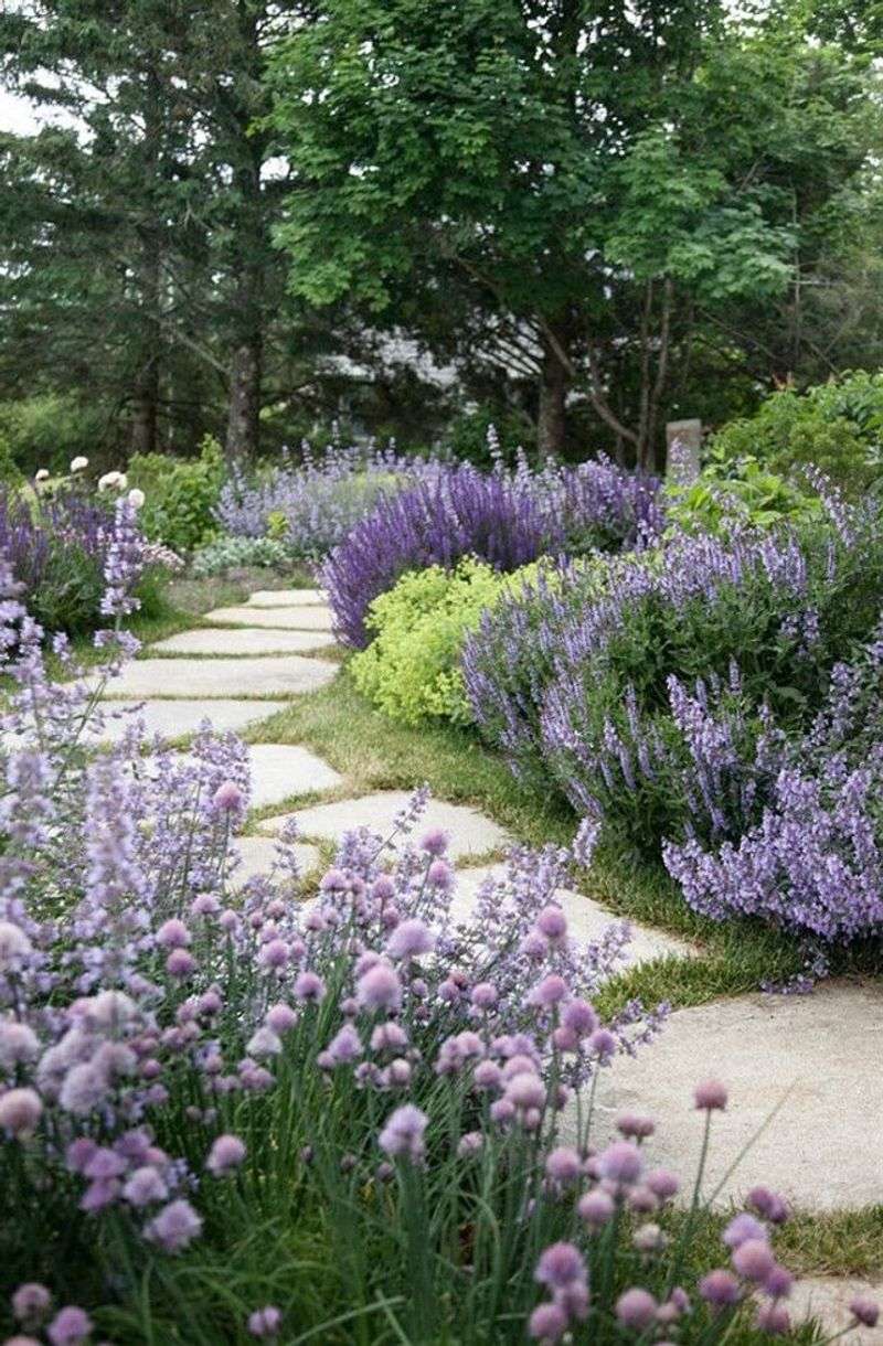 Lavender Borders