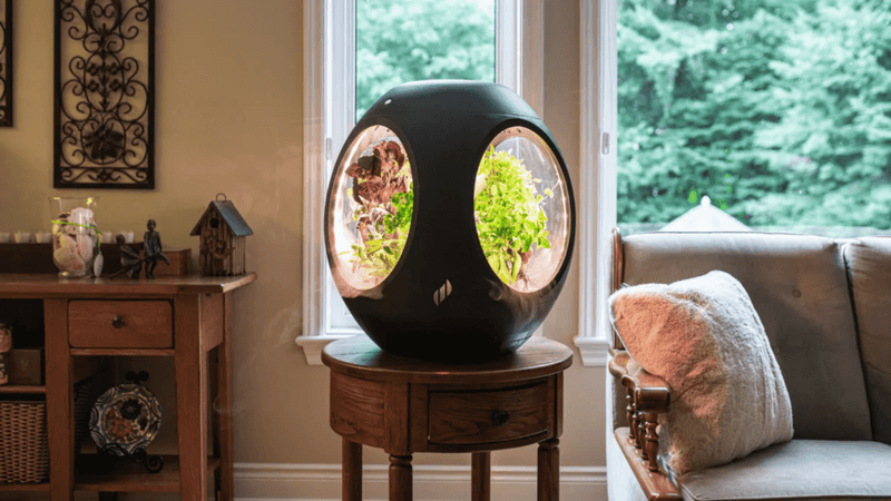 Automated Indoor Gardens
