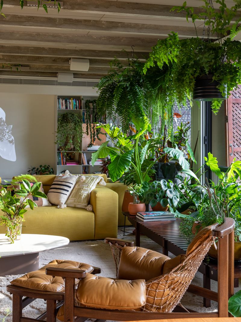 Houseplants That Aren't Just Instagram Props