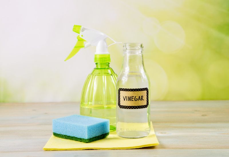 Buy Instead: Spray Bottle With Vinegar Solution